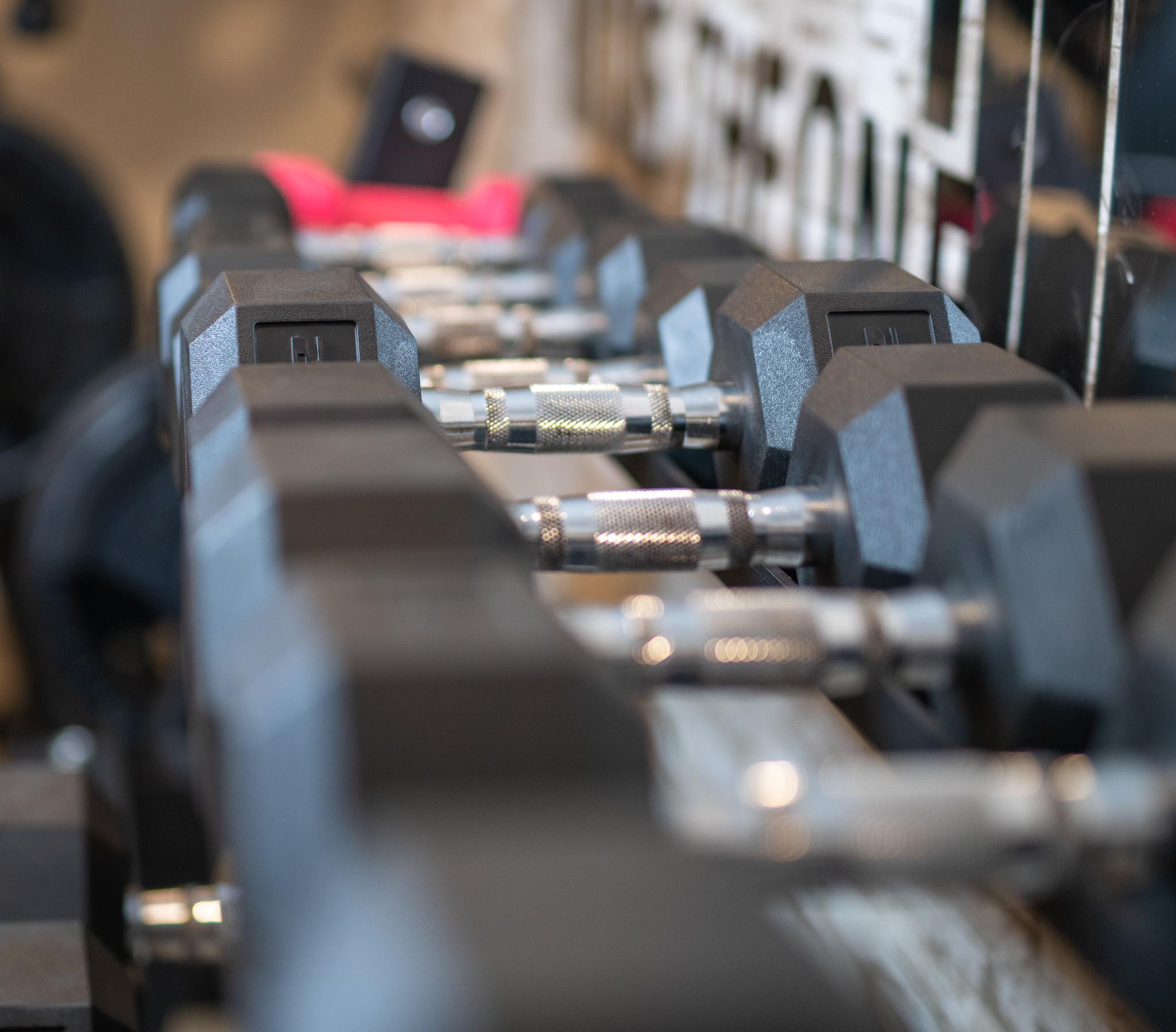 Dumbbells in the private training studio